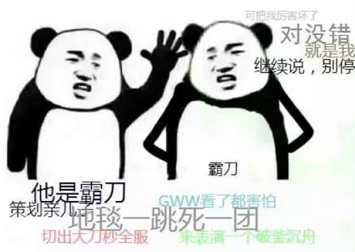 剑网三霸刀新赛季配装,剑网三霸刀的精简装备