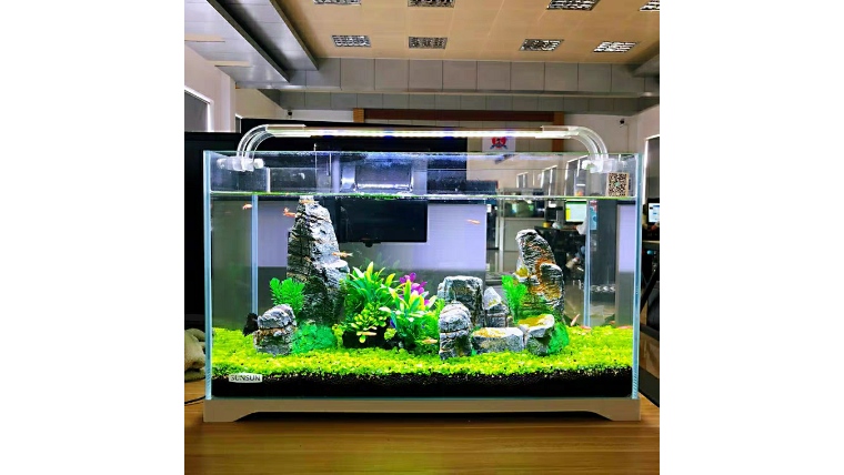 宜兴水族鱼缸,水族鱼缸新店福利