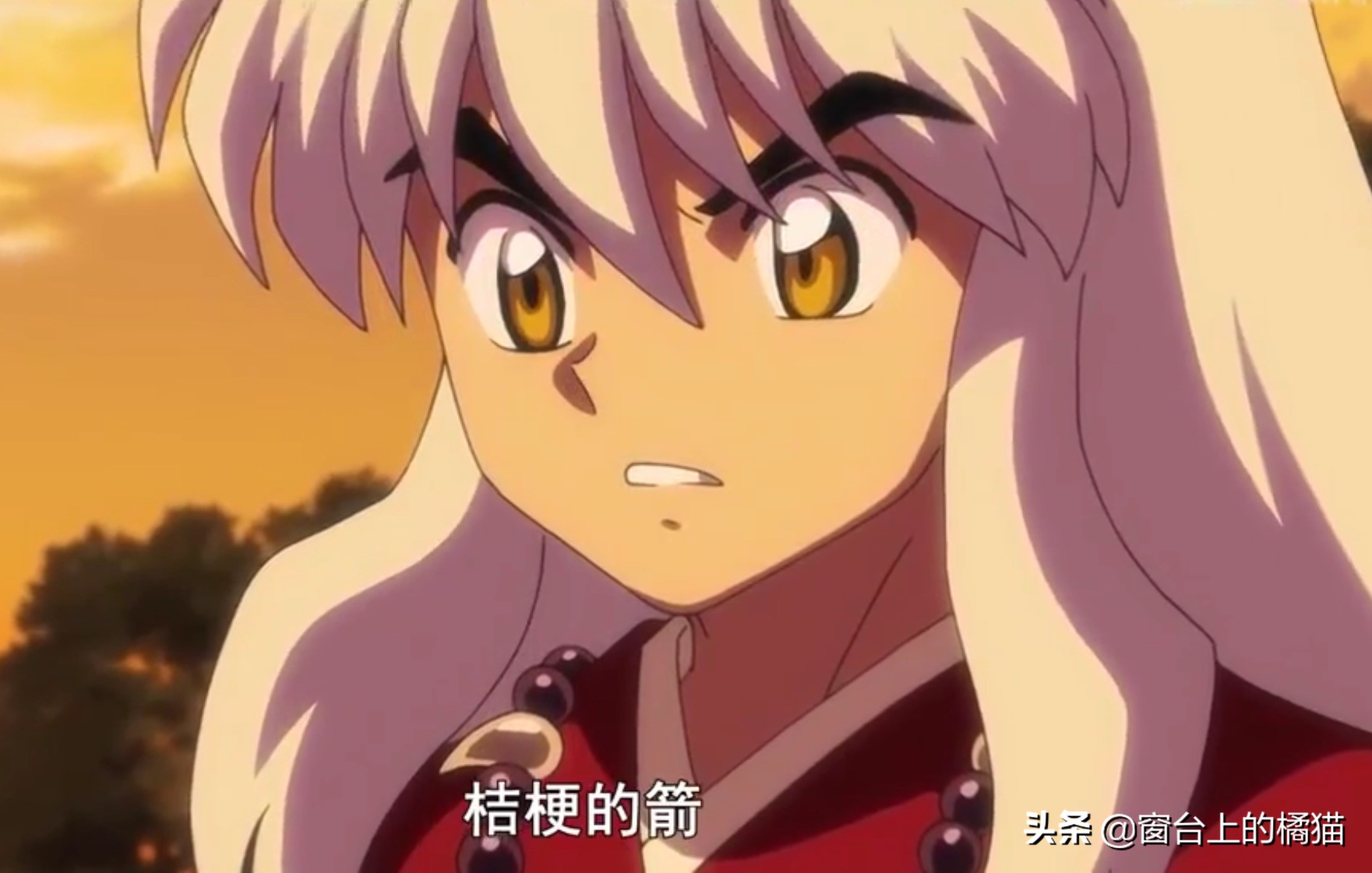 犬夜叉第二部半妖的夜叉姬15,犬夜叉第二部夜叉姬大结局21