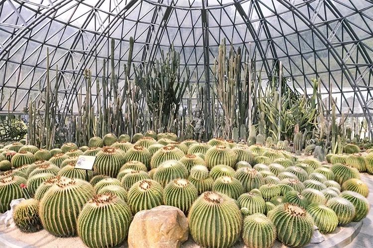 深圳10大旅游好去处,深圳盐田区周末休闲浪漫好去处