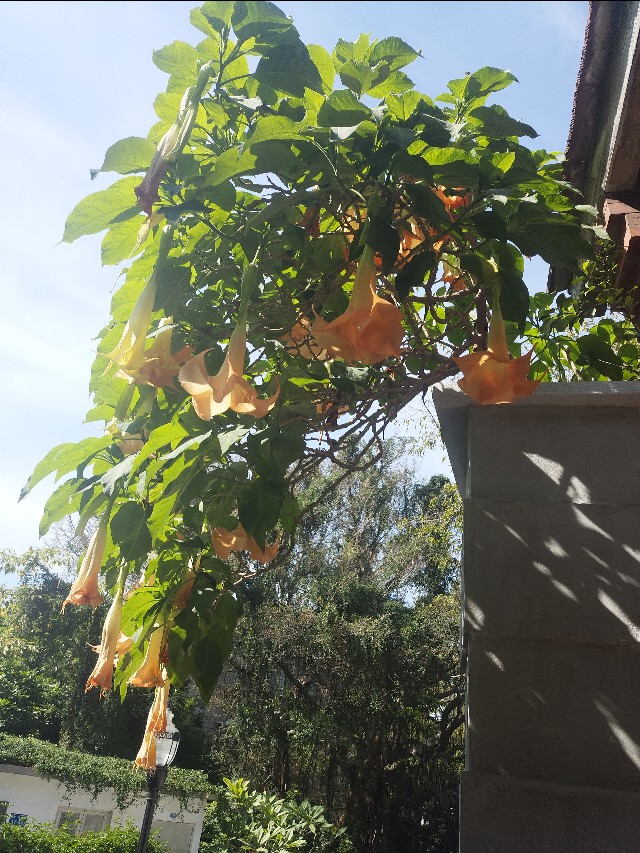 厦门人穿拖鞋短袖,厦门人冬天的穿着