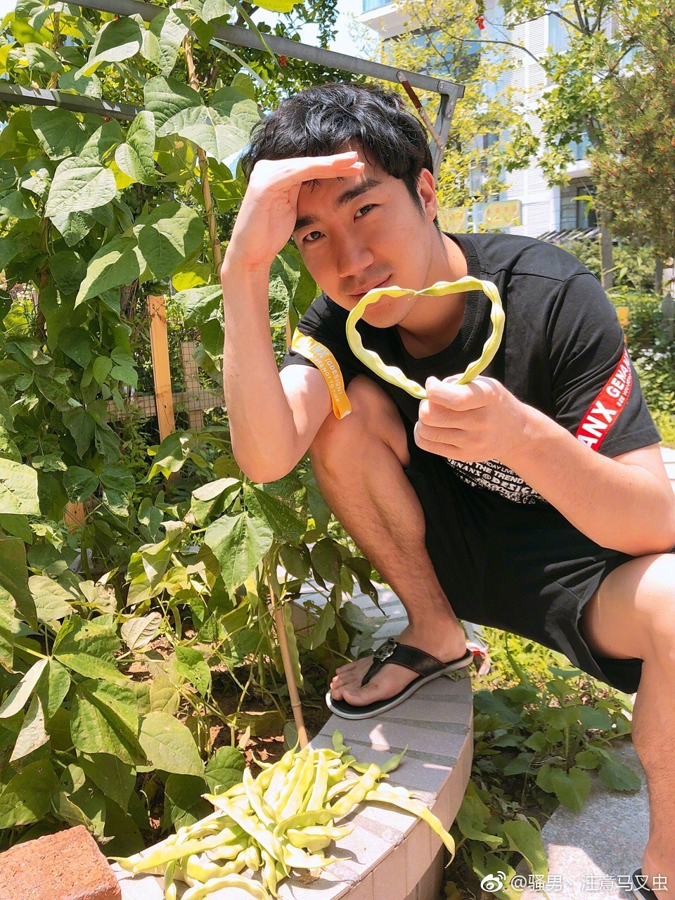 神雕侠侣2手游游戏视频,手游神雕侠侣2测评