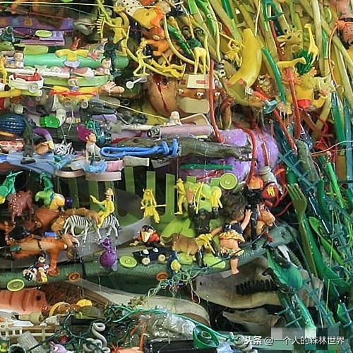 閫忚澶栨寕鐪熷疄浜嬩欢,閫忚澶栨寕鐪熺殑鍋囩殑