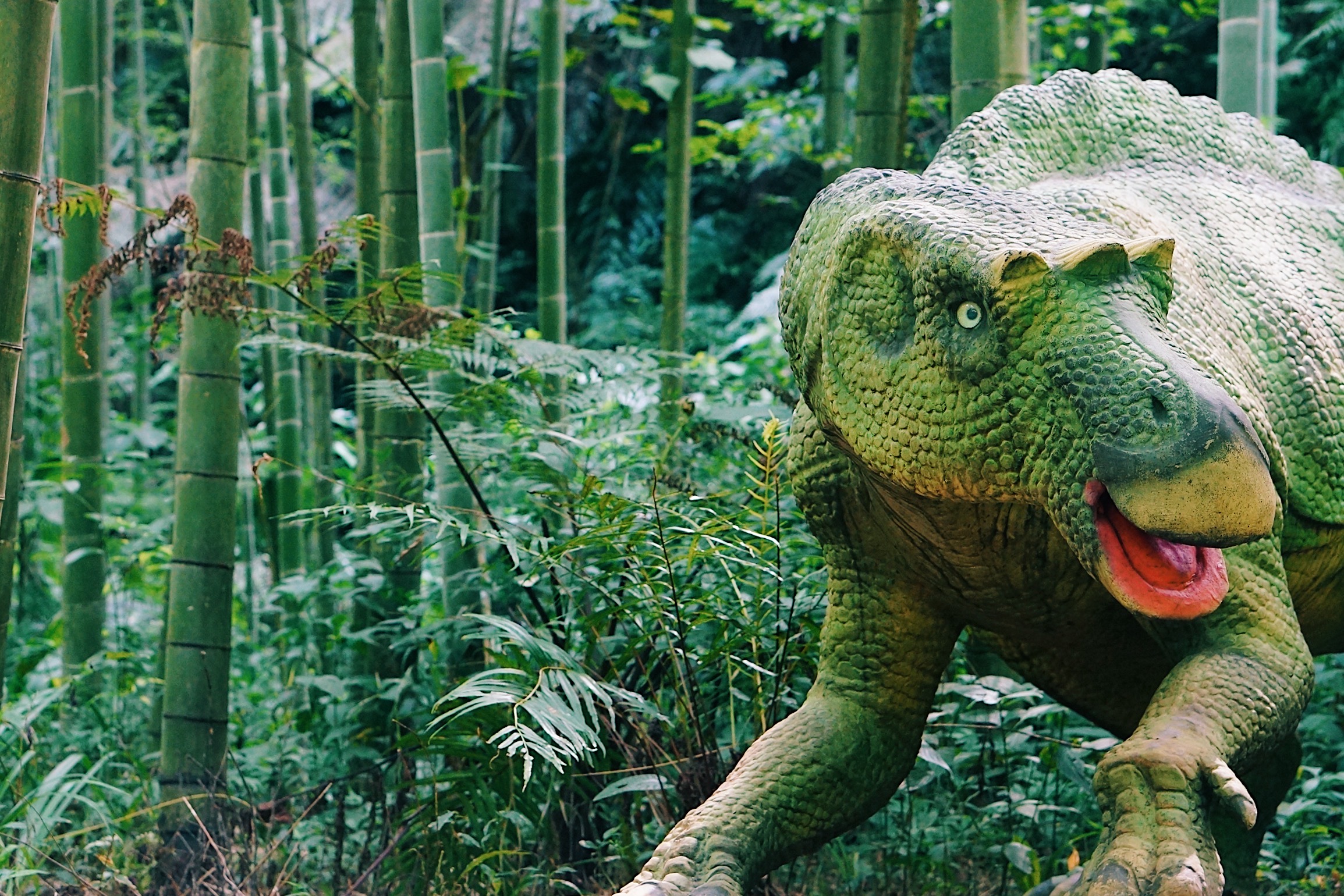 遵义是红色城市,为什么遵义是红色的城市