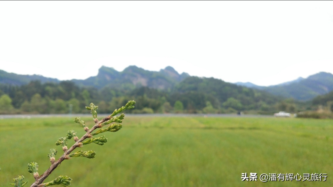 徒步第76天，做主播到现在有些粉丝不喜欢给我刷网上的礼物