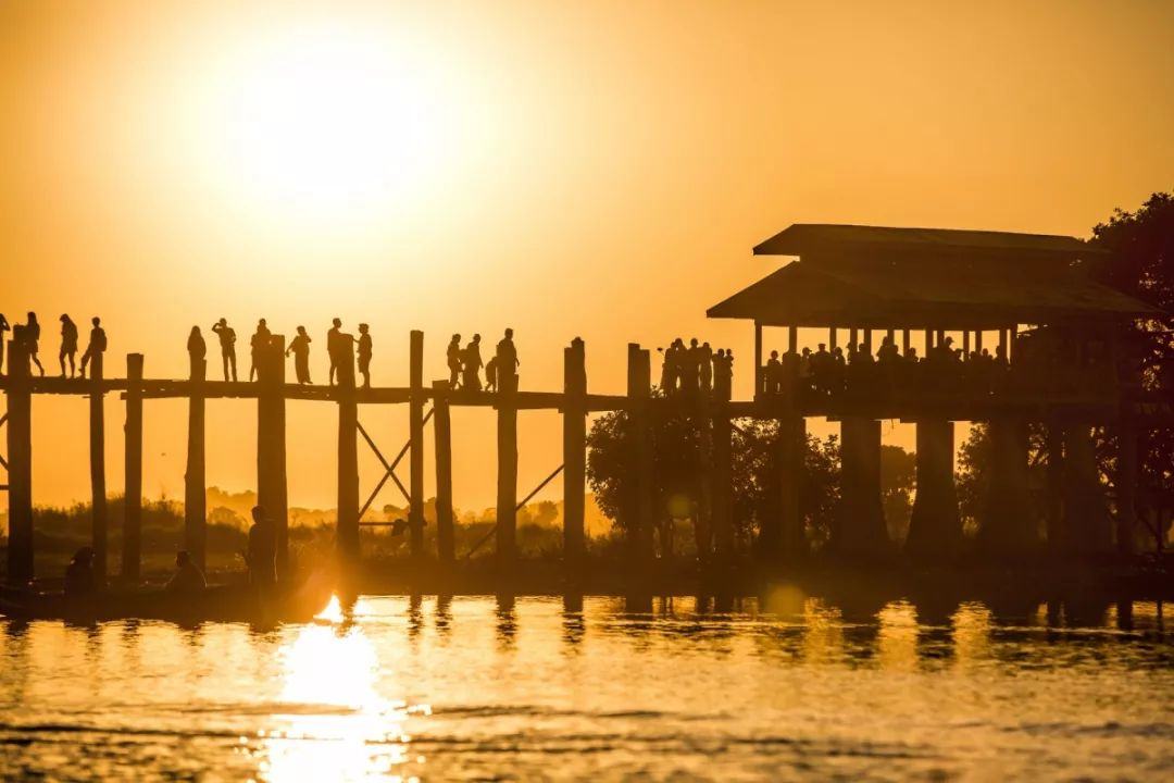 缅甸柚木、非洲柚木、印度柚木,哪种柚木才是真正的王者?