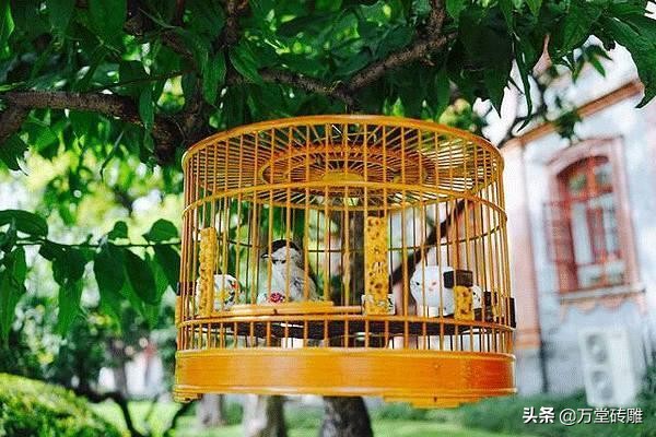 中国的四合院真正的豪宅,中国的四合院是什么样子的