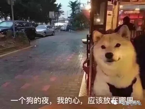 伪素颜戴义乳空降虎扑女神top1，揭开真相直男的世界崩塌了…