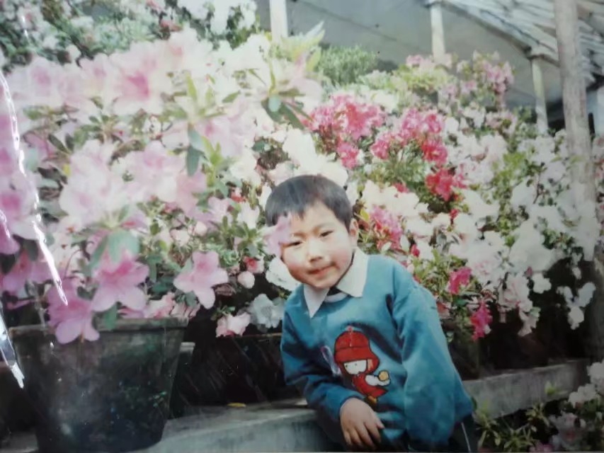 伊春林区往事,伊春林区往事1982年