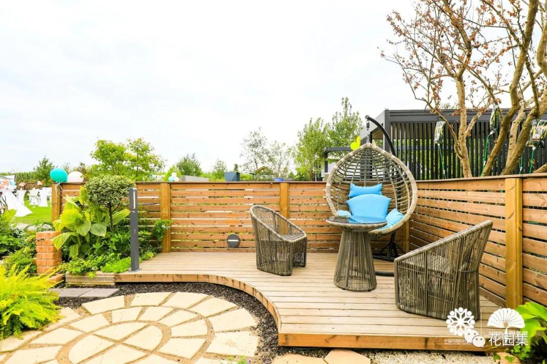 鑺卞洯鐩涘涔愯嚦,鑺卞洯鐩涘瀹屾暣