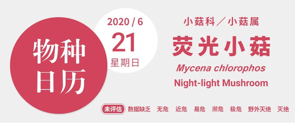 蘑菇头上有红点,蘑菇头上有小红点