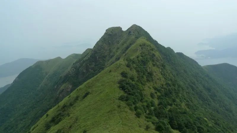 屹立凤凰顶，全览明珠貌