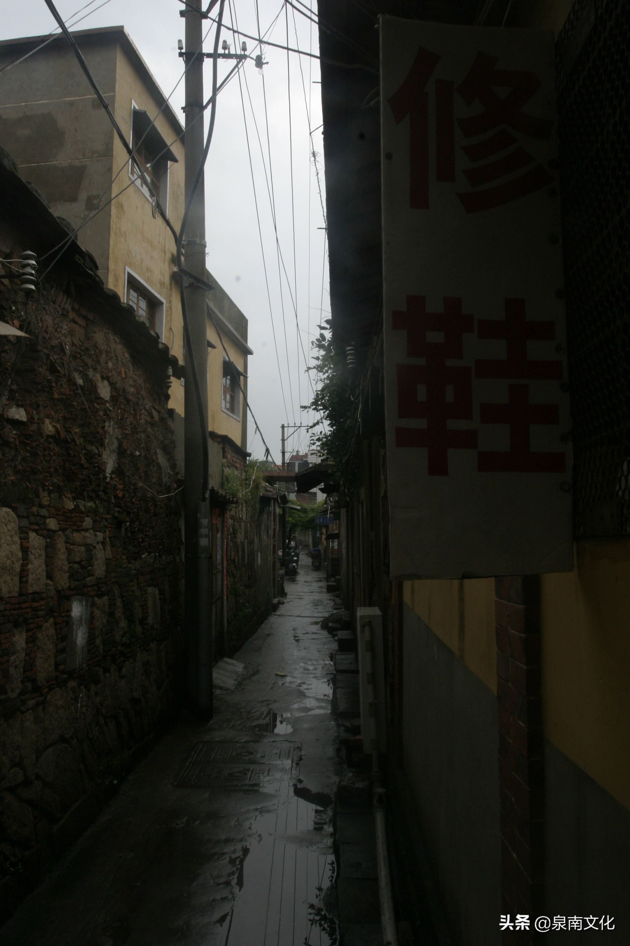 泉州中山路两侧巷道踏勘日记(三):奎霞巷、会通巷、通政巷等