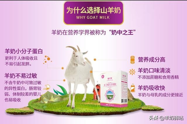 开家羊奶粉店赚钱吗,如何经营一家羊奶粉店