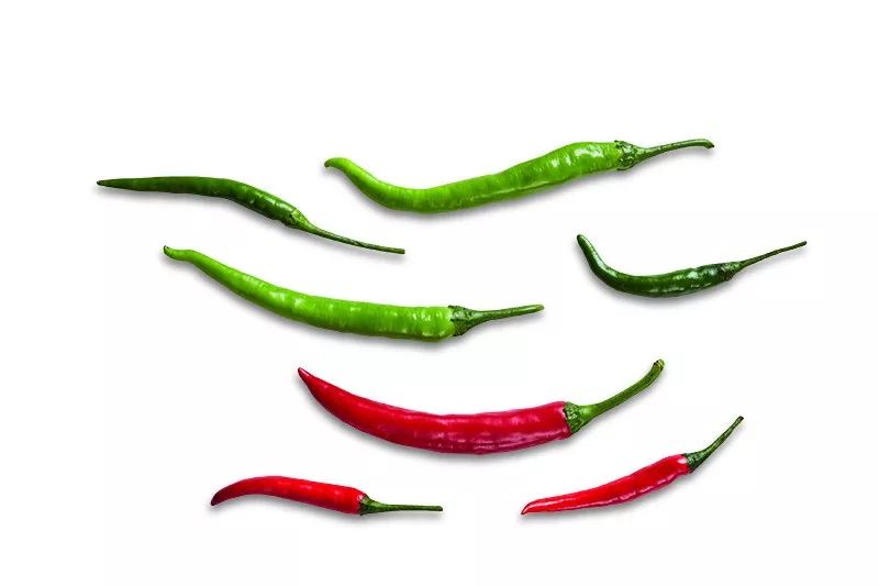 中国辣椒排行,中国又辣又香的辣椒排名