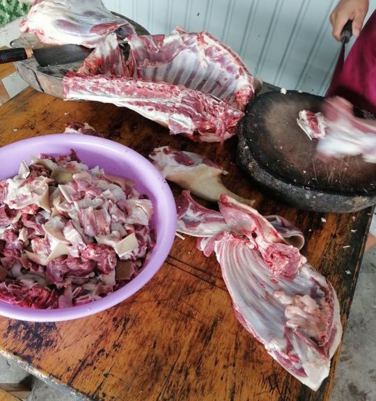 鏈邯甯傚疄楠屼腑瀛﹀北涓婅繍鍔ㄤ細,灞变笂鐨勮繍鍔ㄤ細