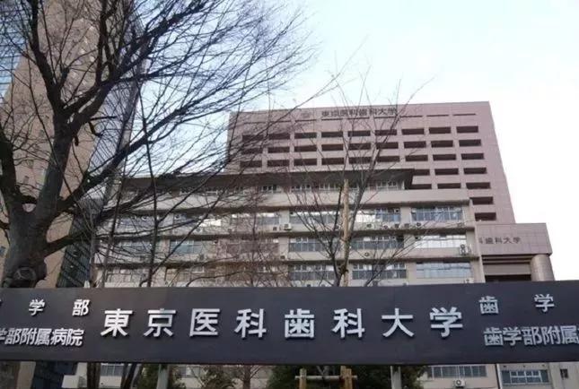 124年，祖孙三代人，死磕一把牙刷，年售6000万支