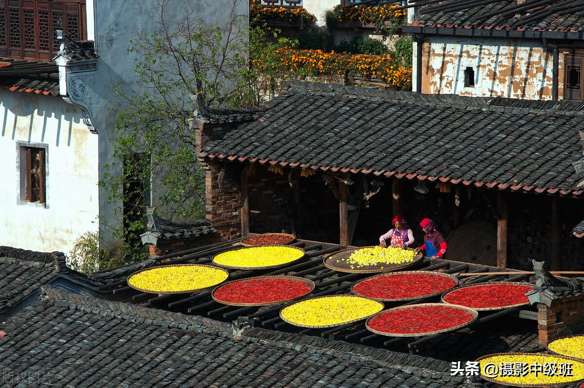 摄影构图三大禁忌,摄影构图常犯的错误新手必须谨慎