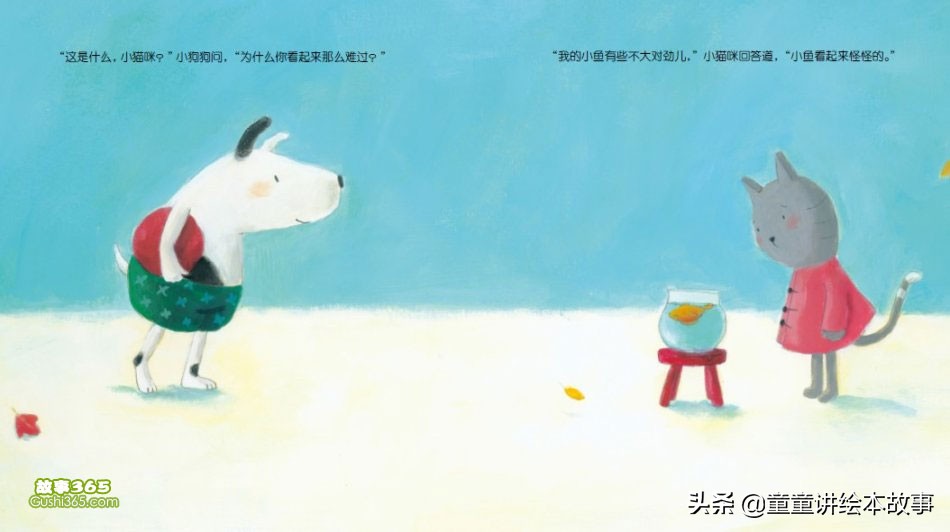 有声绘本故事小猫咪追月亮,绘本故事小猫小鱼