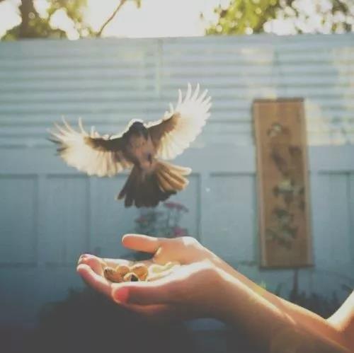 十大温柔的句子经典语录,十句最温柔的英文美句朗读