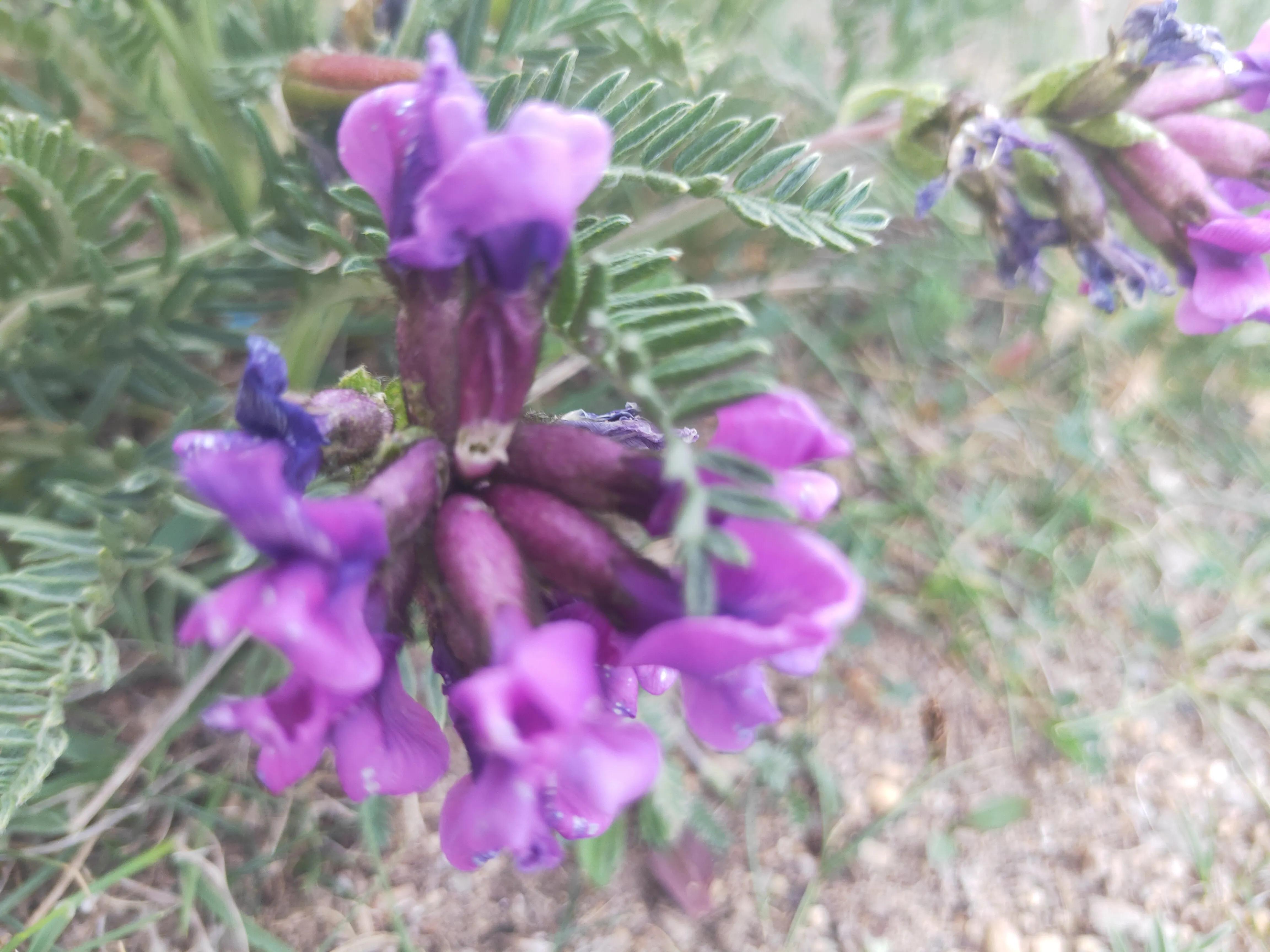 圣藏之旅第四日——思考蜕变之旅的真实意义