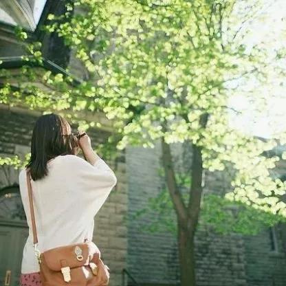 十大温柔的句子经典语录,十句最温柔的英文美句朗读