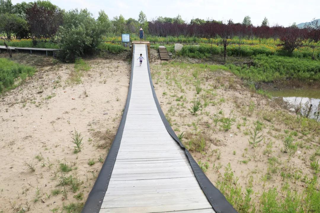 醉花海古镇美景,醉舞花海