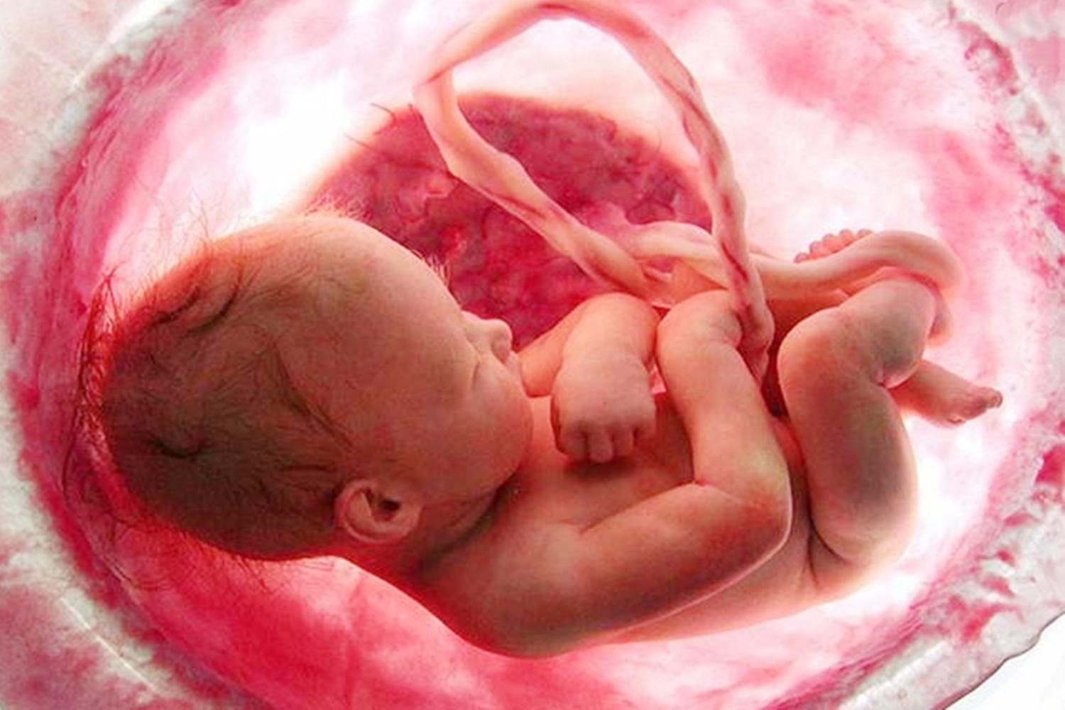 孕早期做b超怎么判断宝宝健康,早孕b超怎么看出胎儿的信息