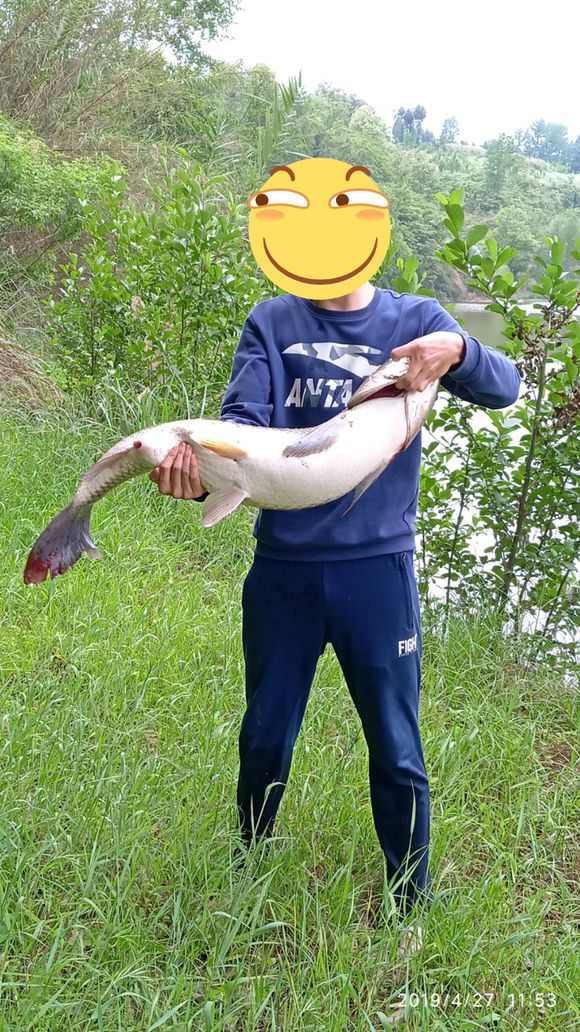 野钓小鱼太多怎么避开小鱼钓大鱼,野钓钓小鱼的技巧和方法