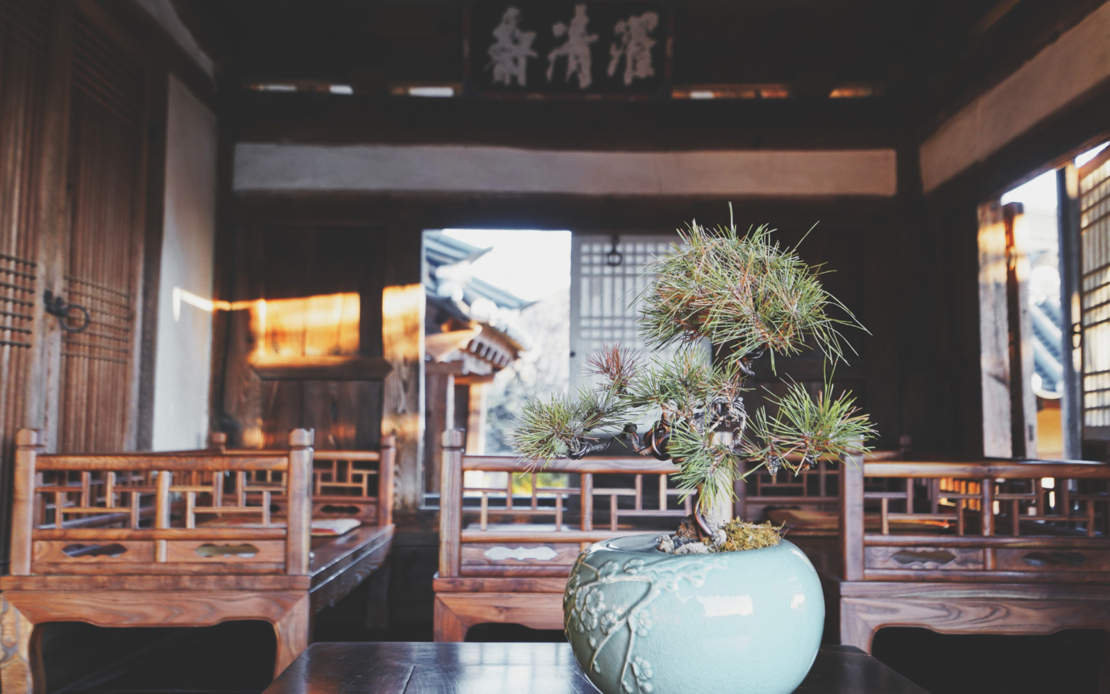 哇,人参随便挖!韩国还能这么玩