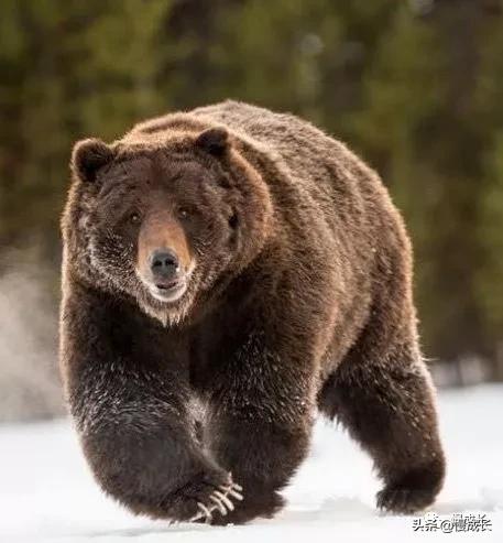 数123算7+6就是数学启蒙?5岁孩子的数学题真让我觉得自己out了