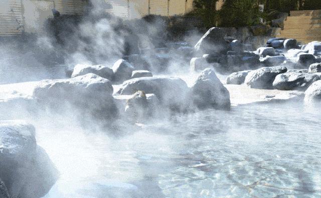 凤翔温泉双人温泉,洛阳凤翔温泉推荐