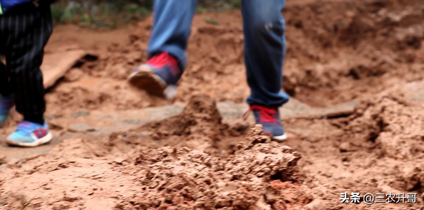 新农村建设田园风光小镇,农业种植养殖观光旅游休闲的方案
