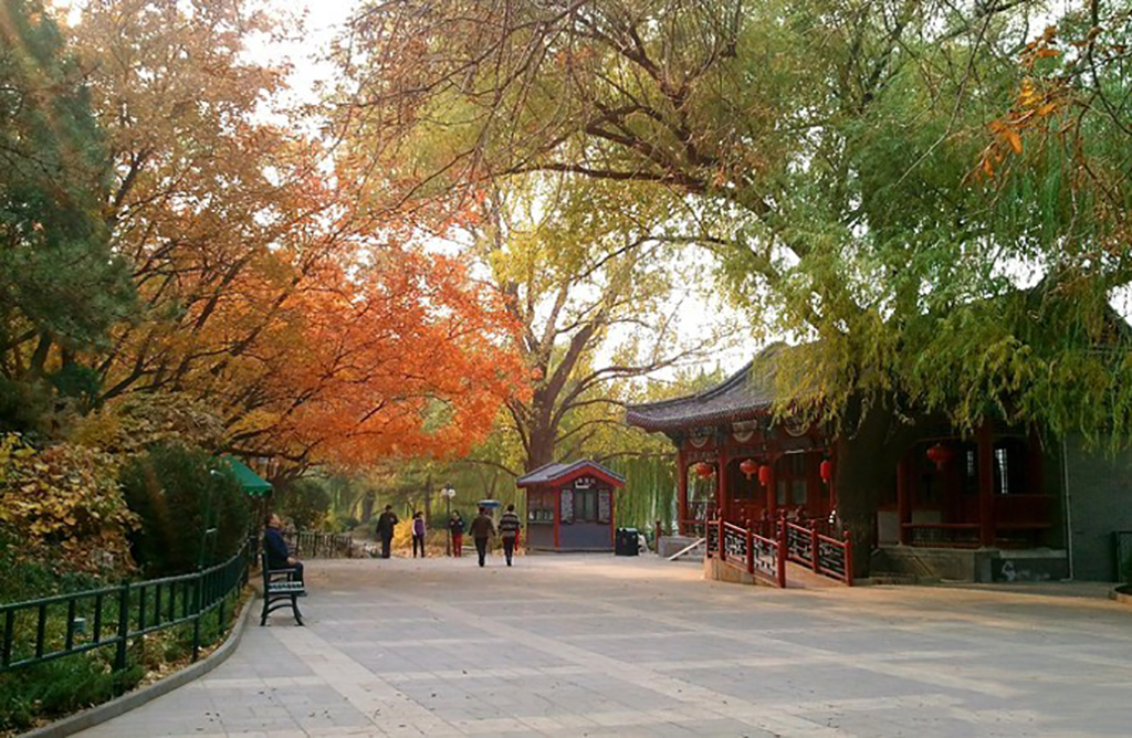 北京紫竹院公园里有什么景点,北京一日游海淀区紫竹苑风景优美