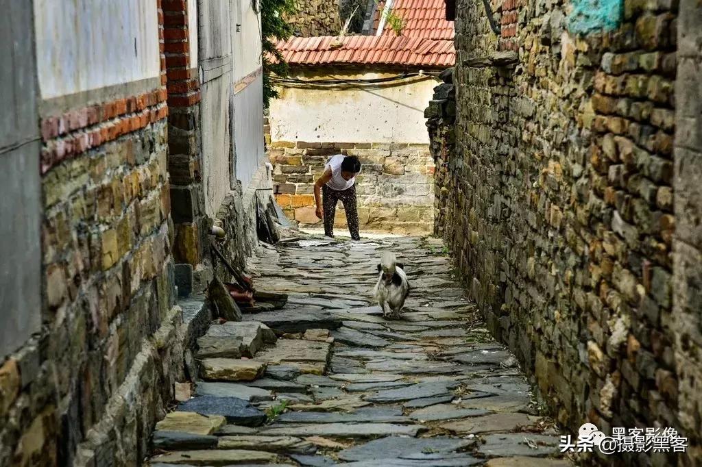 精致小青岛,秀美渔村入画来