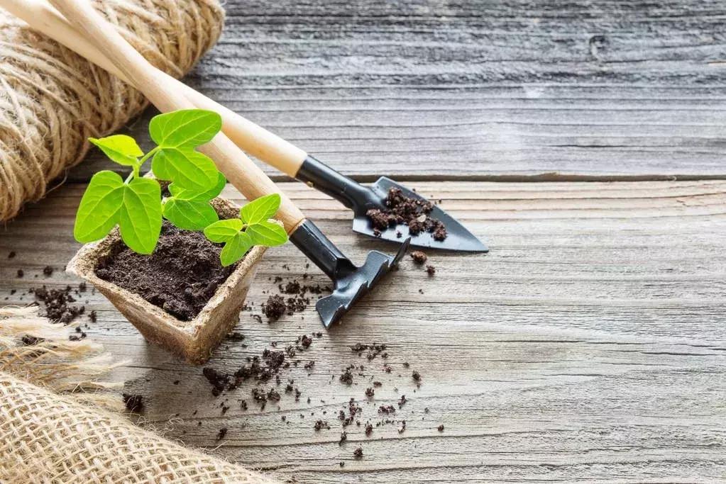 为什么单词合在一起不知道意思了,为什么有的单词明明认识却听不懂