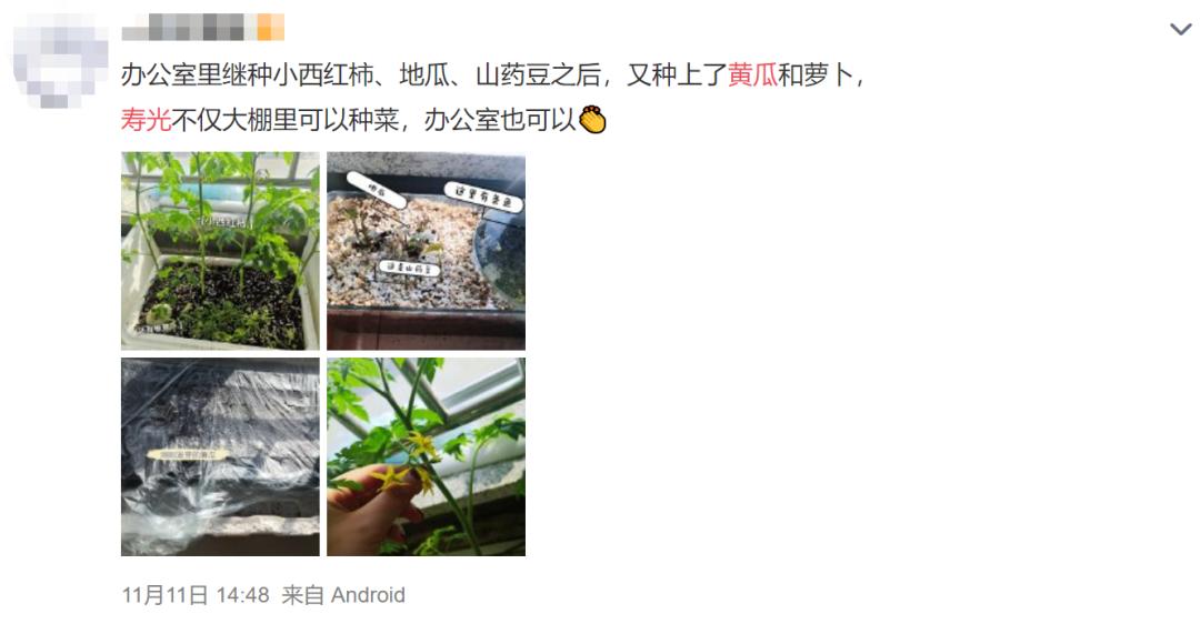 到山东不会饿着你,到山东怎么能不吃煎饼和大馒头呢