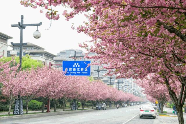 今天，一起去揭开“金甲男团”的神秘面纱……