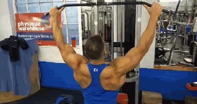 健身背部肌肉分布图,健身增肌背部肌肉怎么练