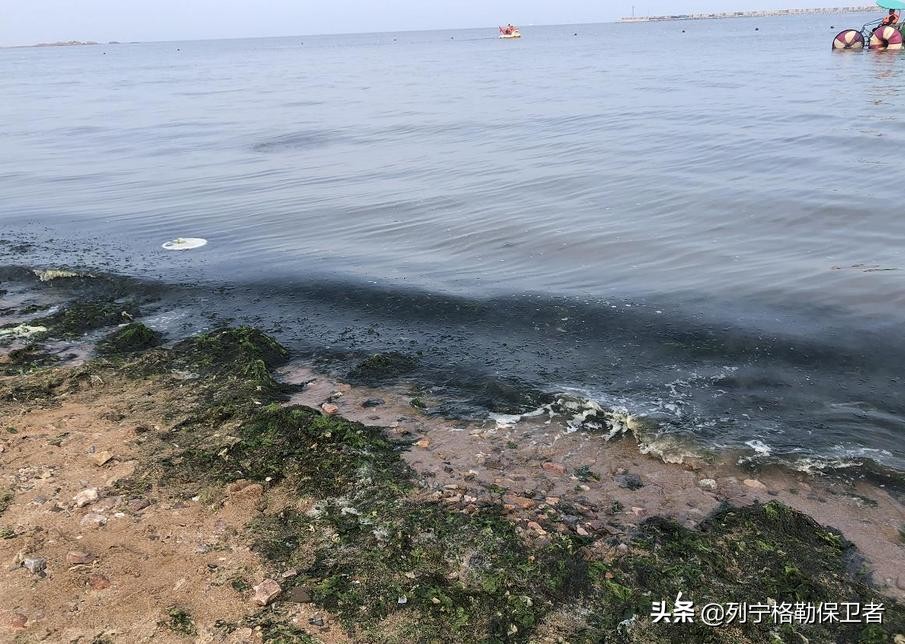 唐ev长途评测,唐ev2024冠军版使用指南