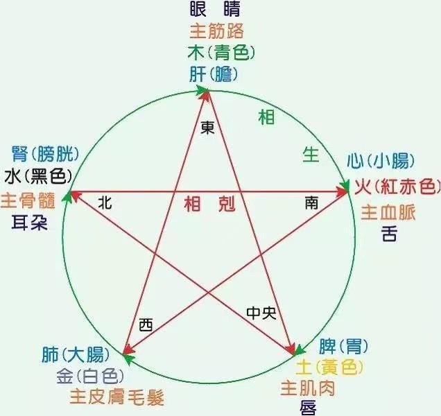 什么是五行什么是八卦,五行都有什么作用