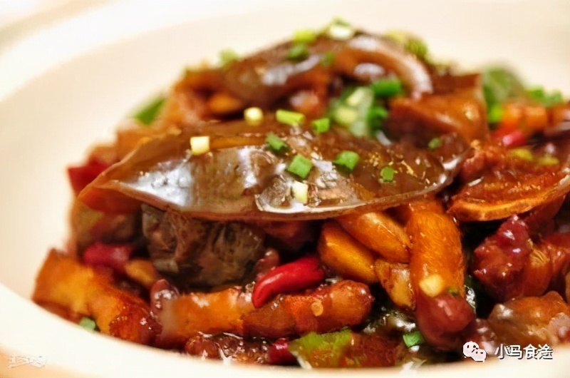 11款甲鱼做法,一桌甲鱼宴,有清淡有重口味,营养丰富,美味诱人