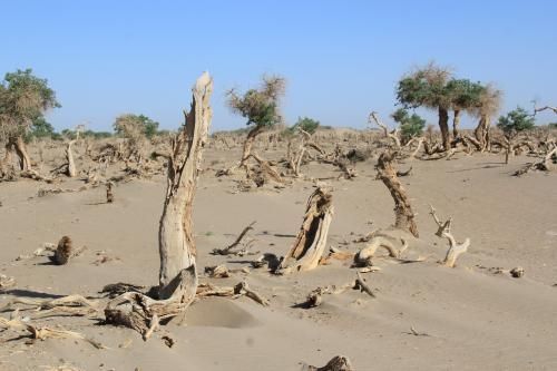 教改20年,三线以下城乡素质教育的问题和希望(原创