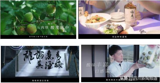 梅见青梅酒真的好喝吗,梅见青梅酒怎么火起来的