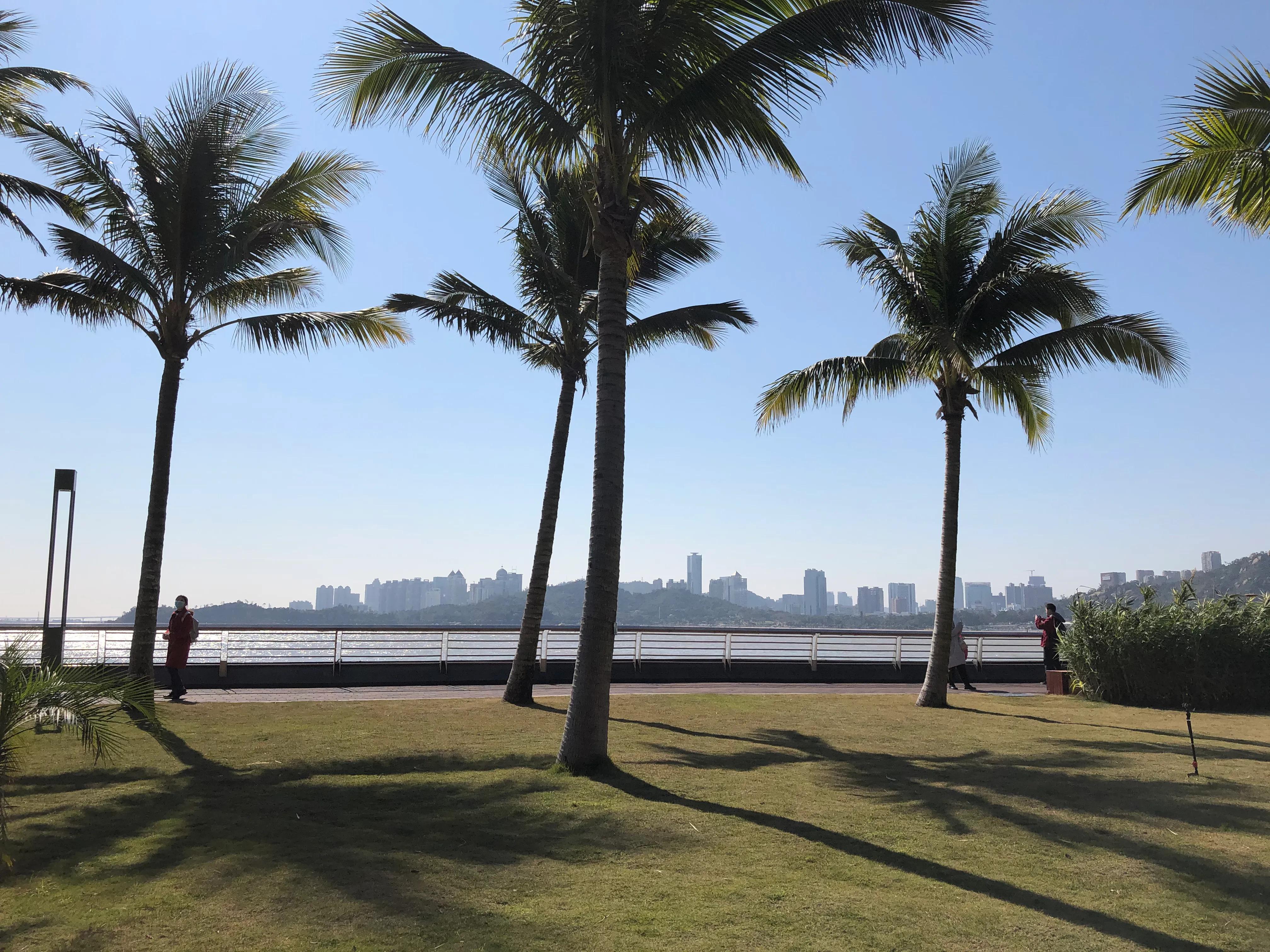 珠海野狸岛退潮时间,珠海冬日游