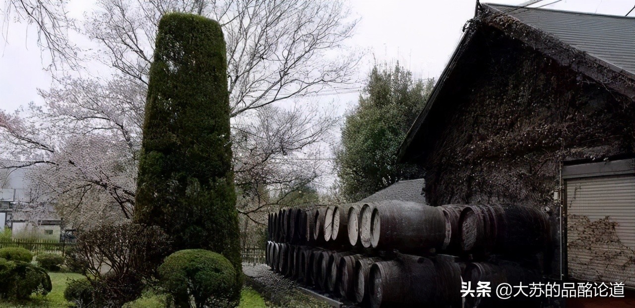 威士忌必备知识分享日本威士忌,日本威士忌常见步骤和原理