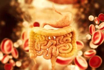 最新根除幽门螺杆菌方案,得了幽门螺杆菌可以彻底根治吗