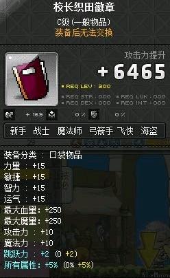 冒险岛涅槃之火怎么用,冒险岛火属性哪个好