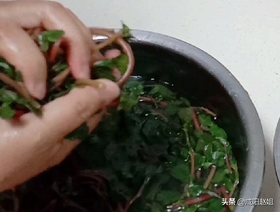 马齿苋凉拌的最简单做法,凉拌马齿苋的最正宗做法