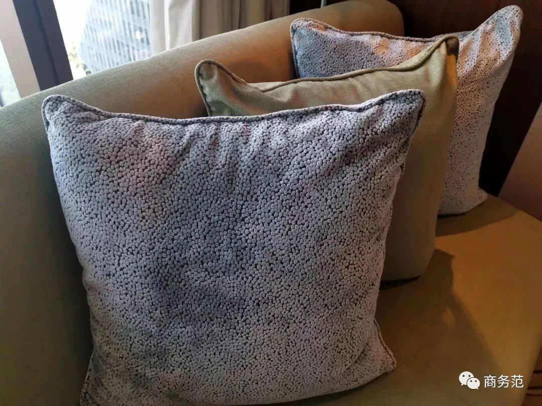 戴妃为什么喜欢老佛爷,为什么戴妃这么美